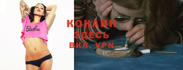 mdpv Горняк