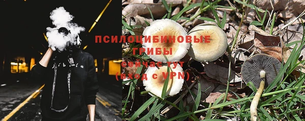 Альфа ПВП Горнозаводск