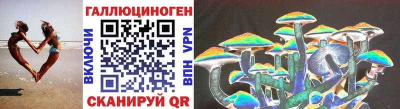 Галлюциногенные грибы Psilocybe  Купить  Новоржев 