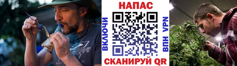 Купить  Новоржев  Марихуана Bruce Banner 